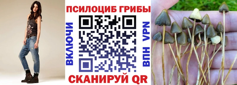 Псилоцибиновые грибы Psilocybe  кракен зеркало  Каргополь 